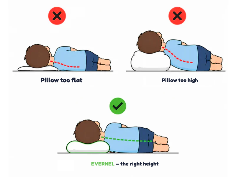 Comparison: pillow too flat, too high, or the right height